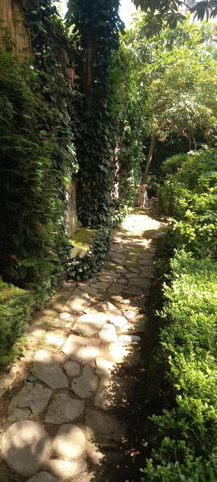 L'Antica Dimora Villa Meta Luaran gambar